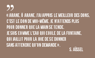 arane-droidsans